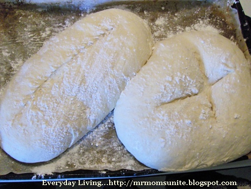 photo of my Italian bread dough