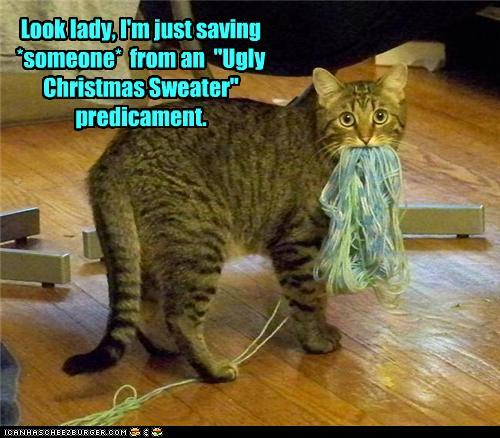 photo of a cat stealing knitting yarn