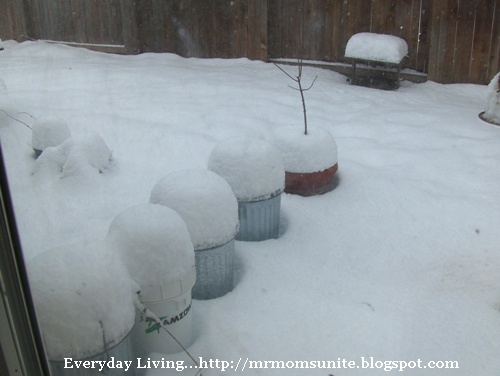 photo of snow covered trash cans