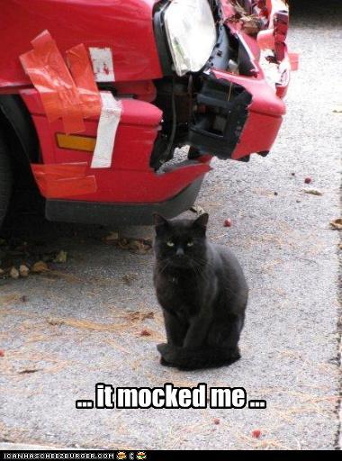 photo of a cat in front of a wrecked car saying that it mocked him