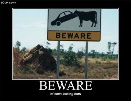 funny road sign of a cow appearing to eat a car