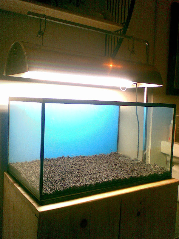 Diy 2ft Light Hood Ada Inspired Aquascaping World Forum Diy 2ft Light Hood Ada Inspired Aquascaping World Forum