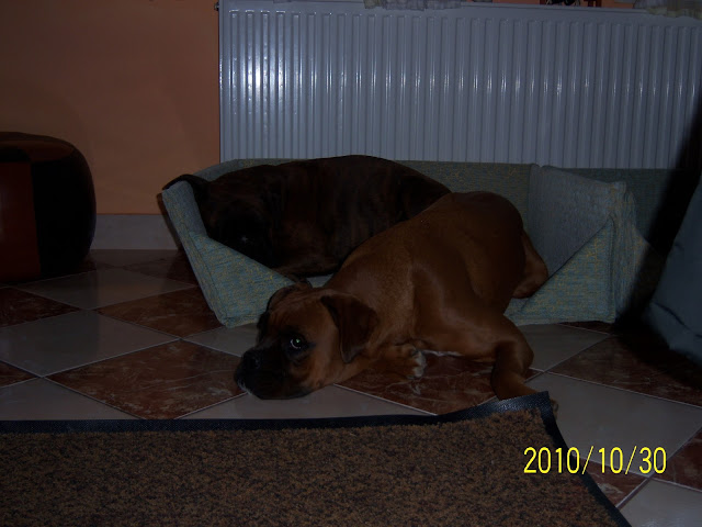 100_3308.JPG