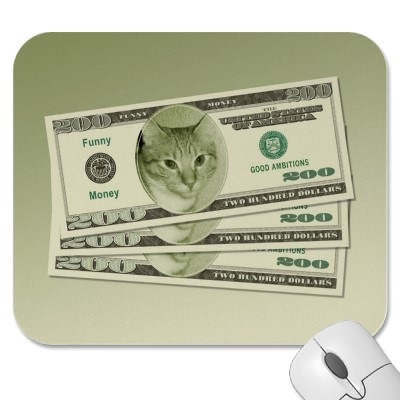 [cat_money[11].jpg]