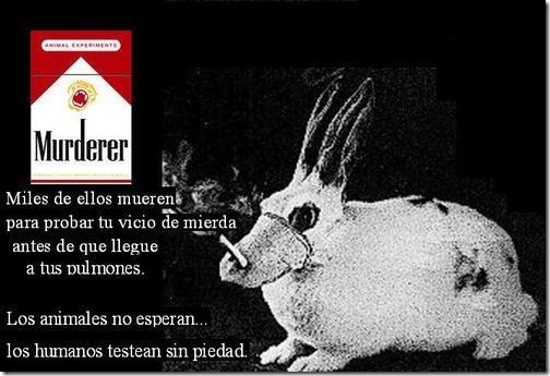 ANTI TABACO COSASDIVERTIDAS (2) ANTI TABACO COSASDIVERTIDAS (2)