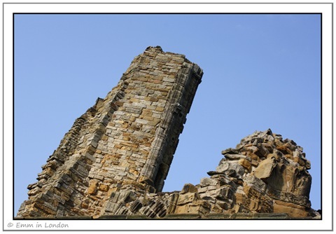 The Ruins of Whitby Abbey (3)