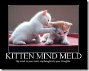 kitten_Mind_Meld