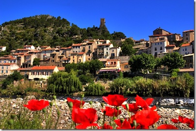 Roquebrun.River.Poppies