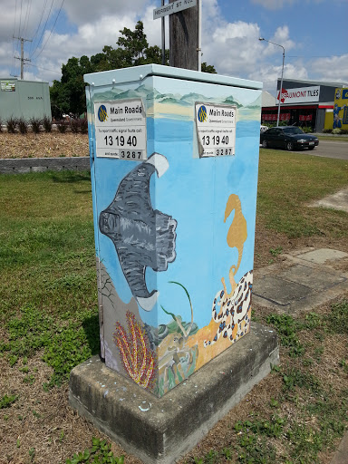 Stingray Reef Artbox