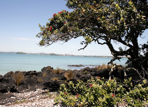 Rangitoto Island