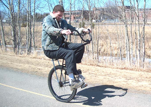 wildbull.jpg