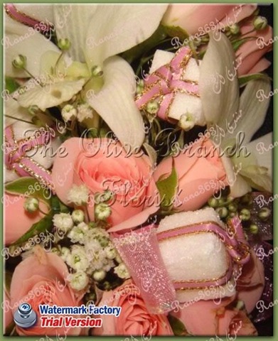 [clip_image0484.jpg]