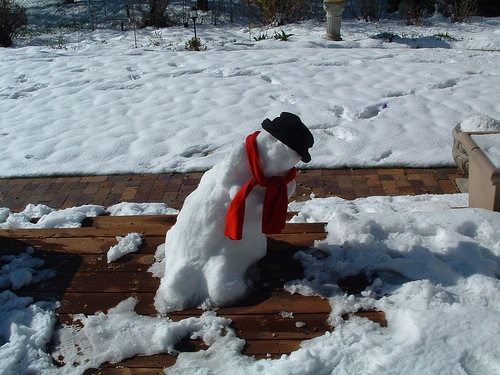 [melting snowman[3].jpg]