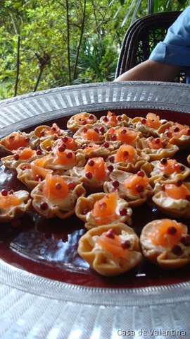 [Casa de Valentina - Natal 2009 - decoração natalina (7)[8].jpg]