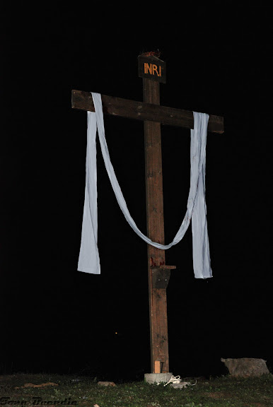 DSC_0270.jpg