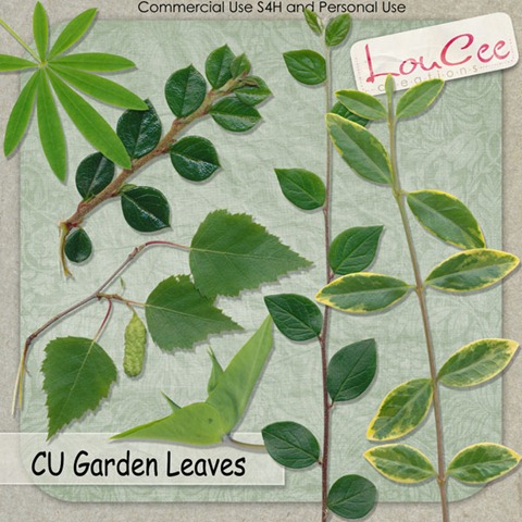 lcc-GardenLeaves-Preview
