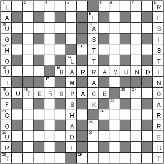 03-grid-crossword-setting-midprocess