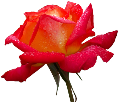 2730246_m8VPb.png