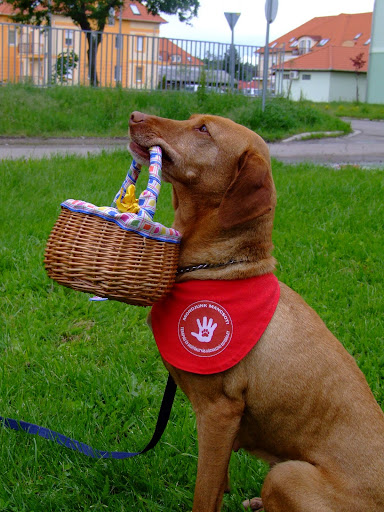 DSCF2709.JPG