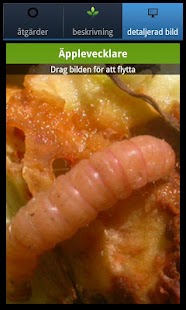 Download Växtskyddsinfo - trädgård APK