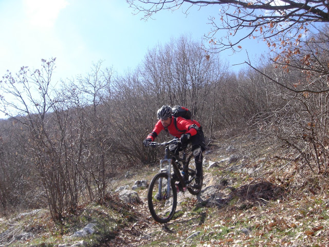 DSC01808%20%5B50%25%5D.JPG