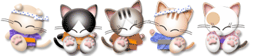 25.png