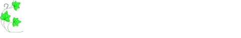 dividers_382.png