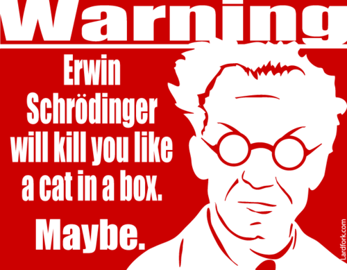Осторожно, Эрвин Шрёдингер может убить вас, как кота в коробке!