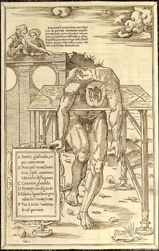Charles Estienne (1504-ca. 1564) (author); Étienne de la Rivière (d. 1569) (anatomist) Paris, 1546. Woodcut