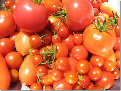 Tomatoes-25