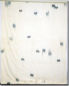 NMNHEJ10227 NMNHEJ10227