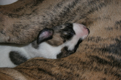 Repulj%20F%2009%2029%20%287%29.JPG