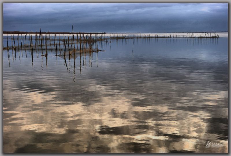 hdralbufera.jpg