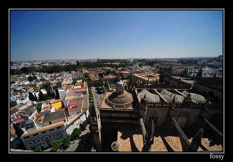 Catedral12.jpg