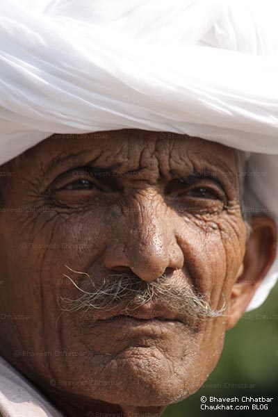 Portrait of a Rajasthani man wearing a white turban