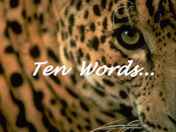Ten words…