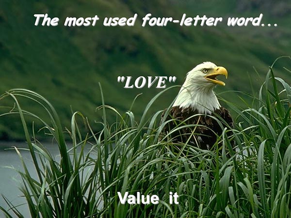 The most used four-letter word - Love - Value it