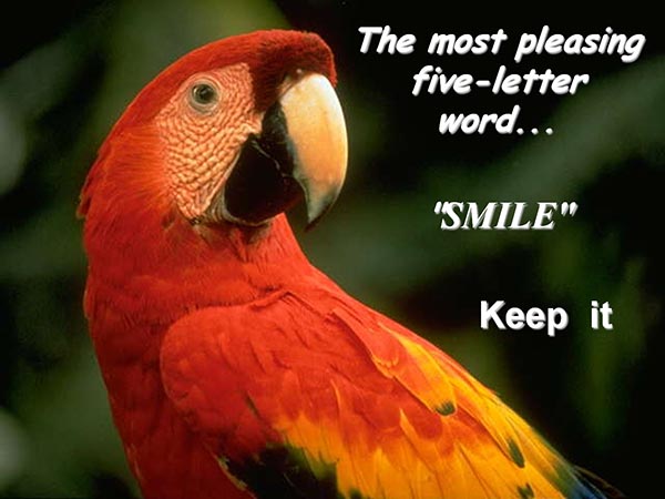 The most pleasing five-letter word - Smile - Keep it