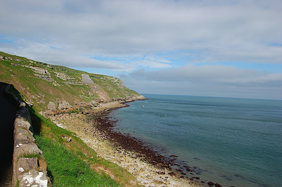 DSC_0239.JPG