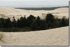 20100729-124 Dunes