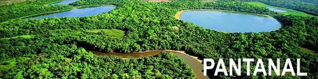 [27823_Topo_Pantanal[4].jpg]