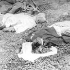Les massacres du 8 Mai 1945,Une tragédie de plus