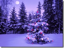 Christmas-new-year-wallpapers (32)