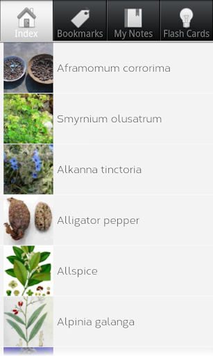 Culinary Herbs for Cooking