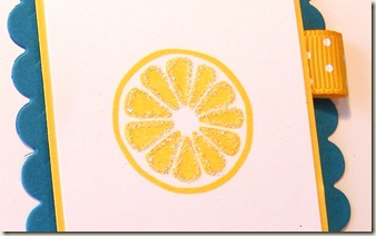 Wonderful You Lemonade-1