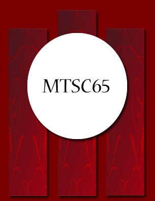 [MTSC65[2].jpg]