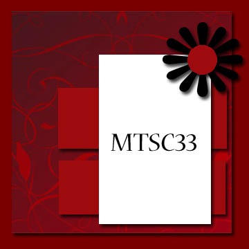 [MTSC33[3].jpg]