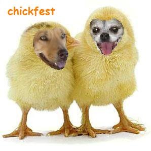 [chickfest LouPeb[2].jpg]
