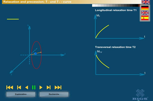 NMR - Relaxation + precession