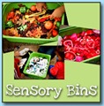 Sensory Bins